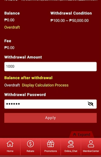 Step 5: Please enter the amount you want to withdraw and fill in your withdrawal password correctly